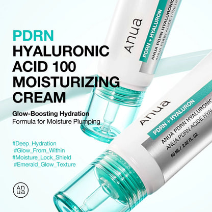 [Anua] PDRN Hyaluronic Acid 100 Moisturizing Cream 60ml