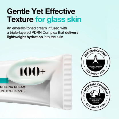[Anua] PDRN Hyaluronic Acid 100 Moisturizing Cream 60ml