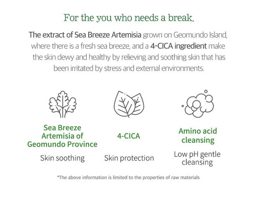 [Round Lab] Mugwort Calming Cleanser 150ml