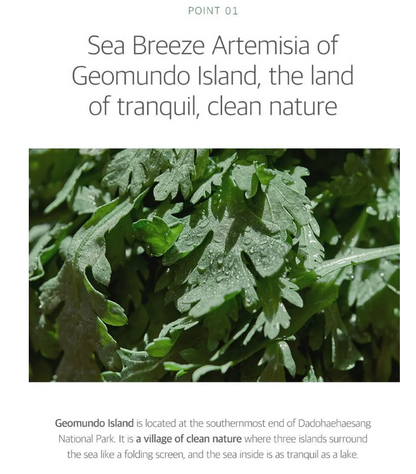 [Round Lab] Mugwort Calming Cleanser 150ml