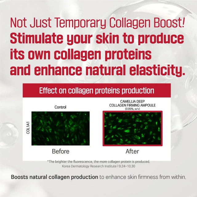 [Round Lab] Camellia Deep Collagen Ampoule 30ml