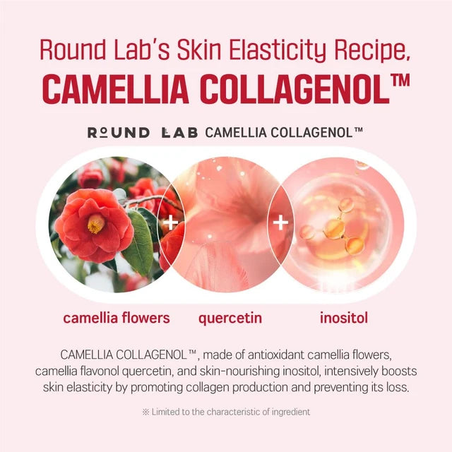 [Round Lab] Camellia Deep Collagen Ampoule 30ml