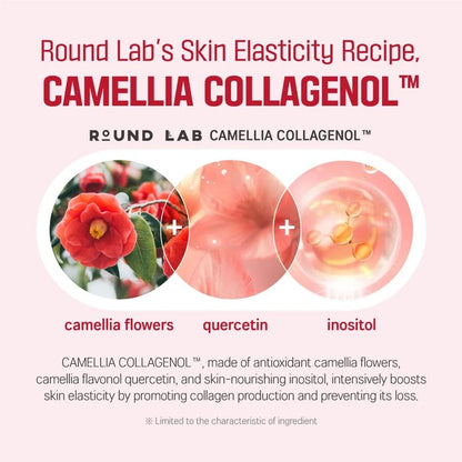 [Round Lab] Camellia Deep Collagen Ampoule 30ml