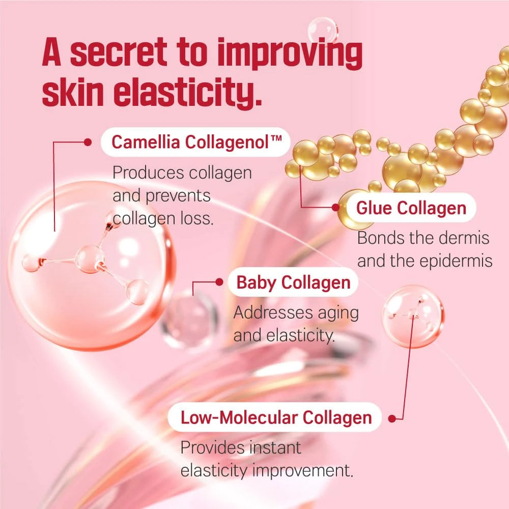 [Round Lab] Camellia Deep Collagen Ampoule 30ml